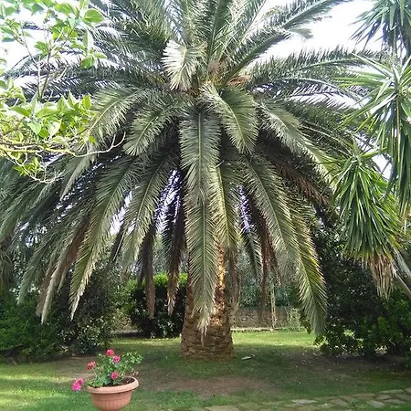 La Palma *