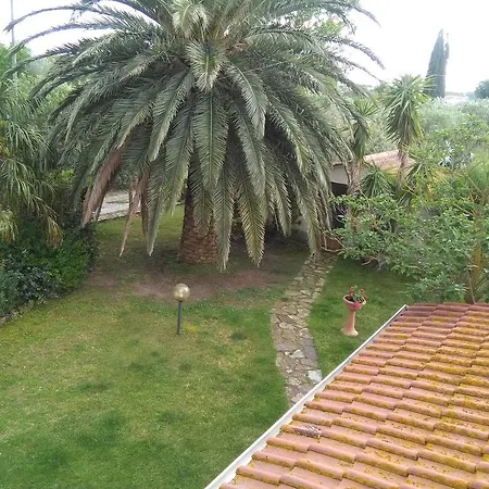 La Palma