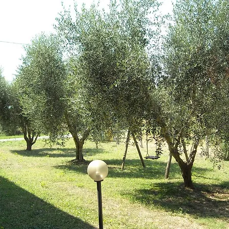 Farm stay La Palma Magliano in Toscana
