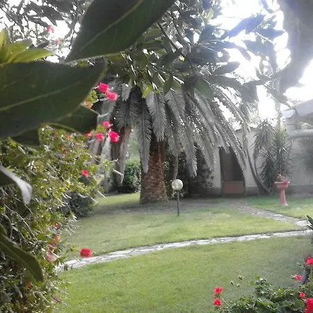La Palma *